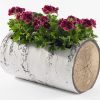 SURREAL 16.5" Horizontal Birch Planter